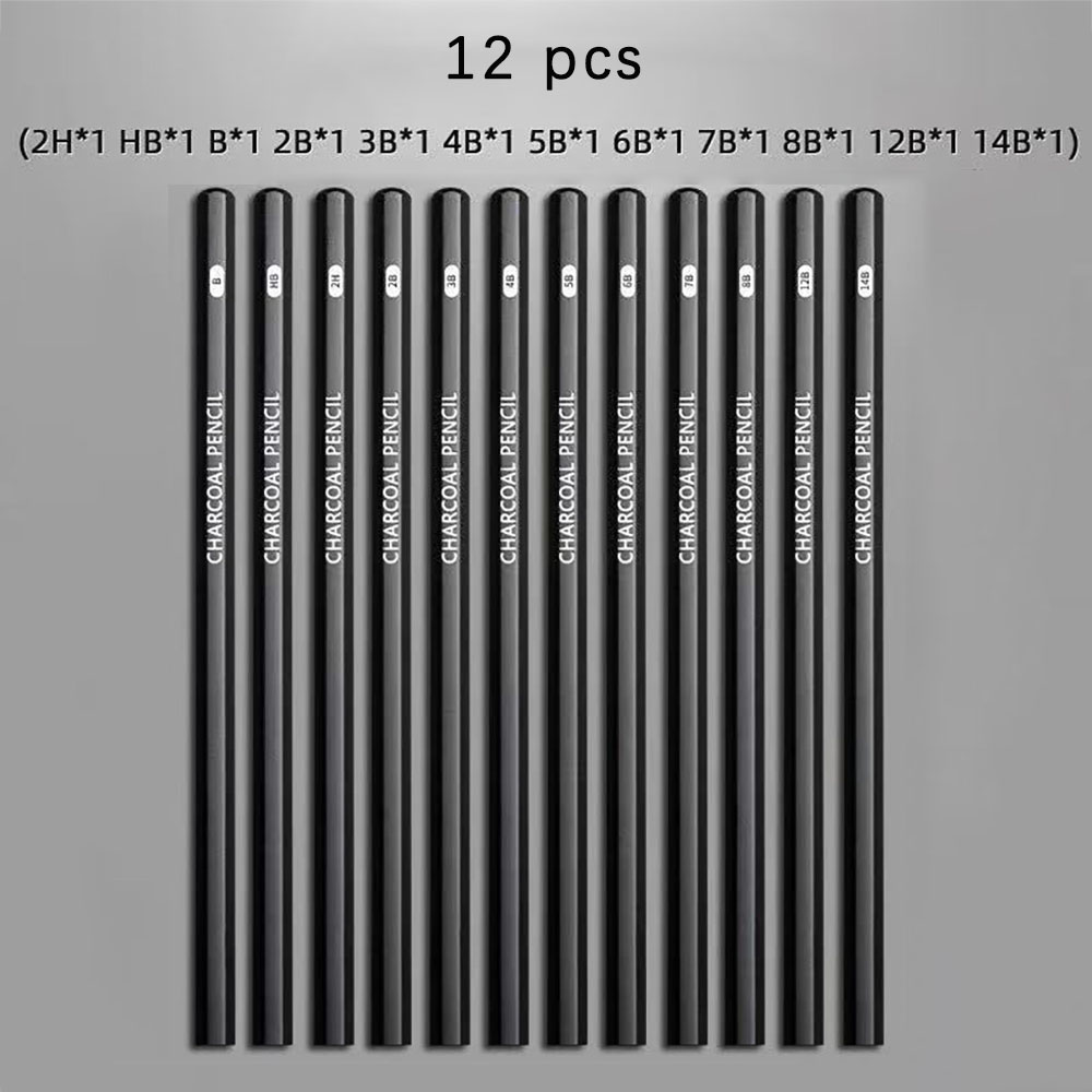 Sketching Charcoal Set - 12-teiliges Skizzenstift-Set für Schüler, Anfänger-Kohlestift-Set zum
