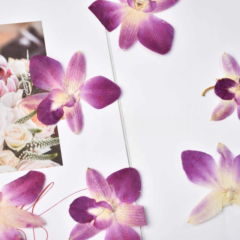 4 Stück, Echte Gepresste Schme – Art And Craft Photos Bewertung und Preis