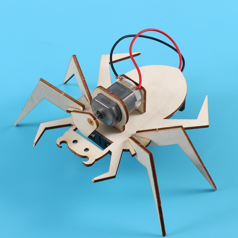 Spinnen 3D-Puzzle STEM Wissens – Art And Craft Science Bewertung und Preis