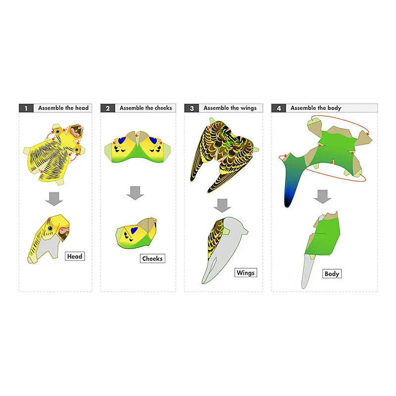 Wellensittich Papagei Vogel ha – Art Craft With Cardboard Bewertung und Preis