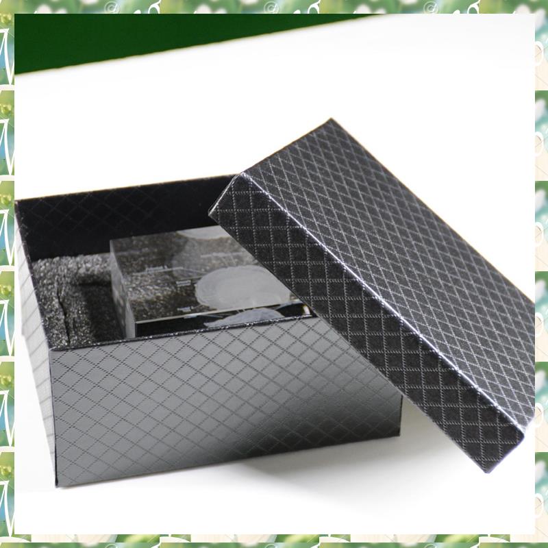 FIZP Kristall 3D Gehirn Anatom – Art And Craft Science Bewertung und Preis