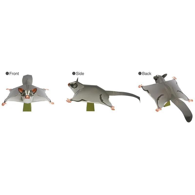 Sugar Glider Flying Mouse Hand – Art Craft With Cardboard Bewertung und Preis